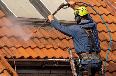 Démoussage et hydrofuge de toiture à Cremeaux